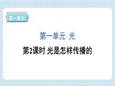 1.2 光是怎样传播的（习题课件)-2024-2025学年五年级上册科学教科版