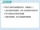 1.3 光的传播会遇到阻碍吗（习题课件)-2024-2025学年五年级上册科学教科版
