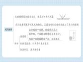 第一单元  光 单元思维导图（习题课件)-2024-2025学年五年级上册科学教科版
