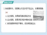 2.5 风的作用（习题课件)-2024-2025学年五年级上册科学教科版