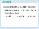 2.6 水的作用（习题课件)-2024-2025学年五年级上册科学教科版
