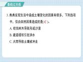 2.7 总结我们的认识（习题课件)-2024-2025学年五年级上册科学教科版