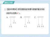 3.5 摆的快慢（习题课件)-2024-2025学年五年级上册科学教科版