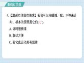 3.7 计量时间和我们的生活（习题课件)-2024-2025学年五年级上册科学教科版