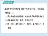 第三单元 计量时间综合测试卷（习题课件)-2024-2025学年五年级上册科学教科版