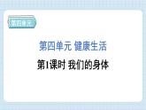 4.1 我们的身体（习题课件)-2024-2025学年五年级上册科学教科版