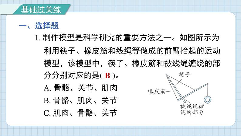 4.2 身体的运动（习题课件)-2024-2025学年五年级上册科学教科版02