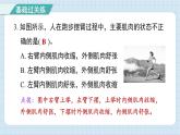 4.2 身体的运动（习题课件)-2024-2025学年五年级上册科学教科版