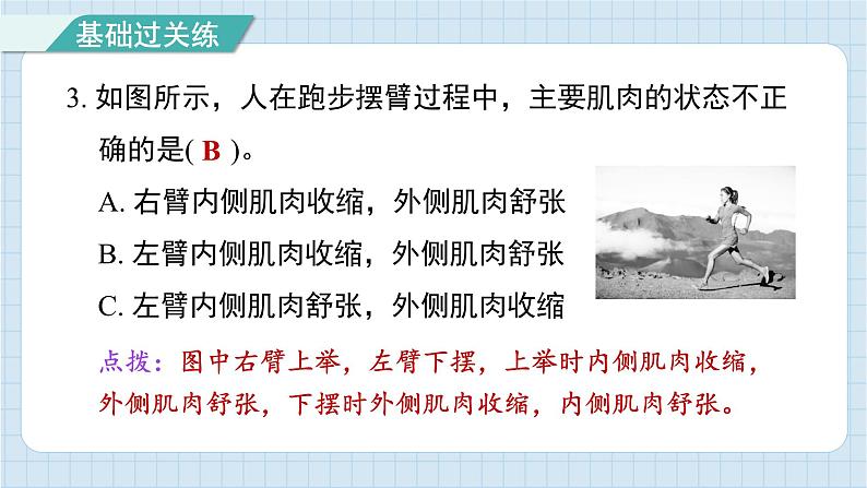 4.2 身体的运动（习题课件)-2024-2025学年五年级上册科学教科版04