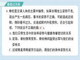 4.2 身体的运动（习题课件)-2024-2025学年五年级上册科学教科版