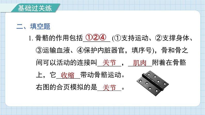 4.2 身体的运动（习题课件)-2024-2025学年五年级上册科学教科版08