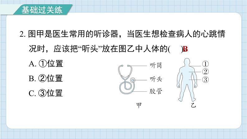4.3 心脏和血液（习题课件)-2024-2025学年五年级上册科学教科版第3页
