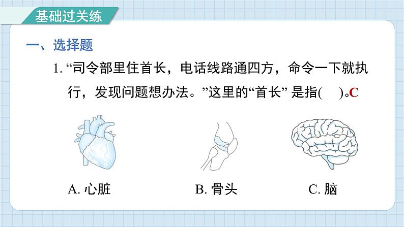 4.4 身体的“总指挥”（习题课件)-2024-2025学年五年级上册科学教科版02