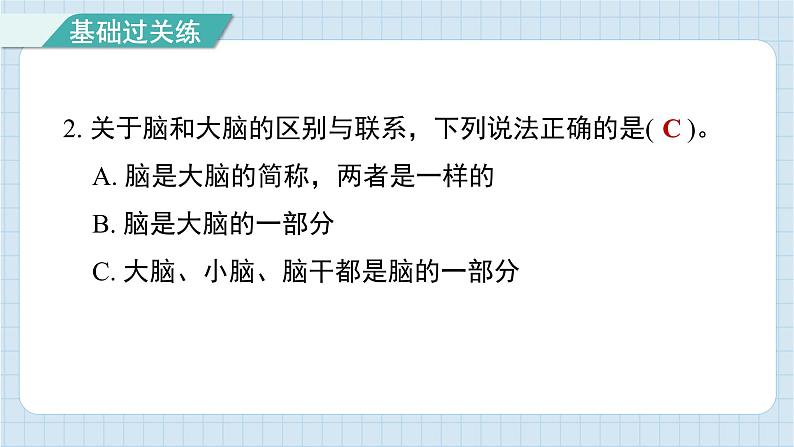 4.4 身体的“总指挥”（习题课件)-2024-2025学年五年级上册科学教科版03