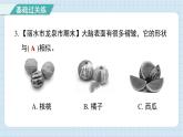 4.4 身体的“总指挥”（习题课件)-2024-2025学年五年级上册科学教科版