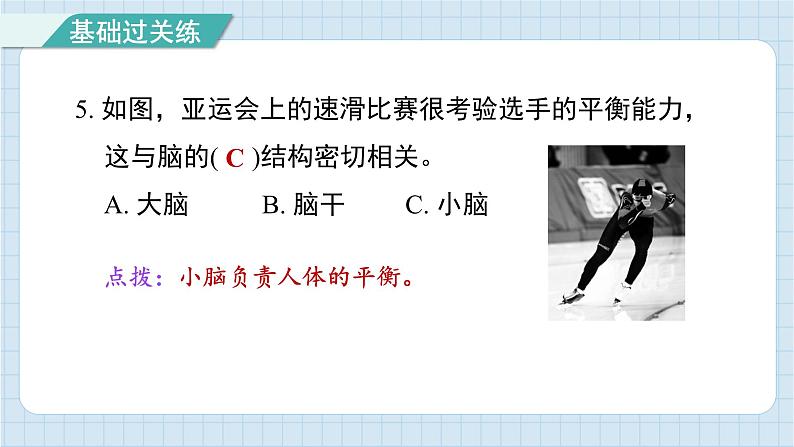 4.4 身体的“总指挥”（习题课件)-2024-2025学年五年级上册科学教科版06