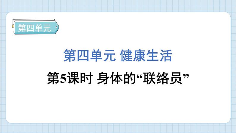 4.5 身体的“联络员”（习题课件)-2024-2025学年五年级上册科学教科版01