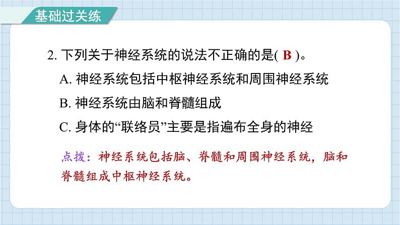 4.5 身体的“联络员”（习题课件)-2024-2025学年五年级上册科学教科版03