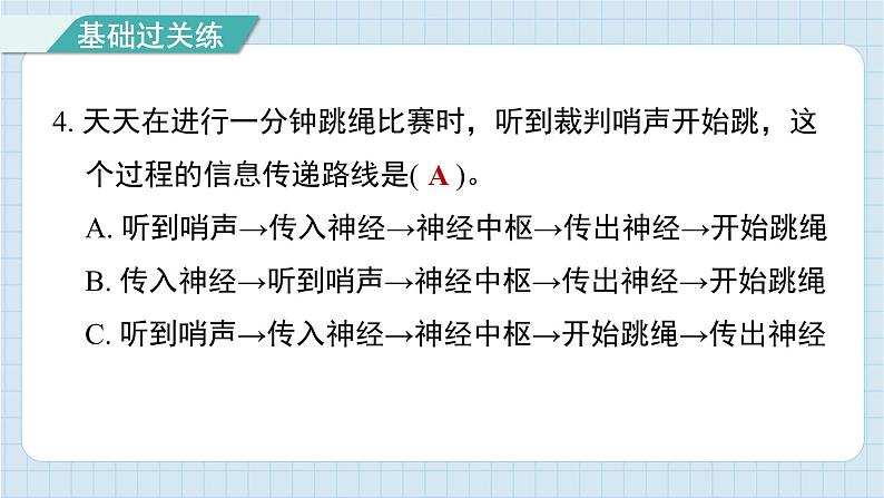 4.5 身体的“联络员”（习题课件)-2024-2025学年五年级上册科学教科版05