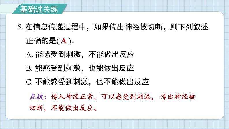 4.5 身体的“联络员”（习题课件)-2024-2025学年五年级上册科学教科版06