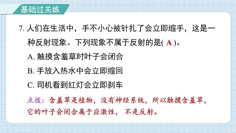 4.5 身体的“联络员”（习题课件)-2024-2025学年五年级上册科学教科版08