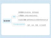 第四单元 健康生活 思维导图（习题课件)-2024-2025学年五年级上册科学教科版