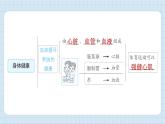 第四单元 健康生活 思维导图（习题课件)-2024-2025学年五年级上册科学教科版