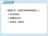 第四单元 健康生活 综合测试卷（习题课件)-2024-2025学年五年级上册科学教科版