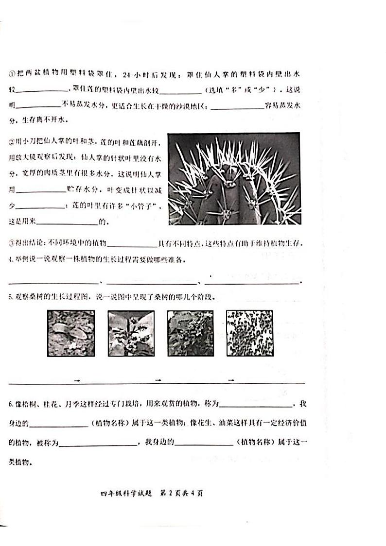 山东省枣庄市山亭区2023-2024学年四年级下学期6月期末科学试题02