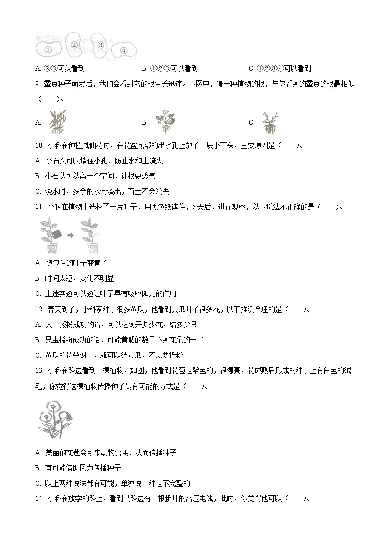 浙江省嘉兴市海盐县教科版2023-2024学年四年级下册期末考试科学试卷（原卷版）第2页