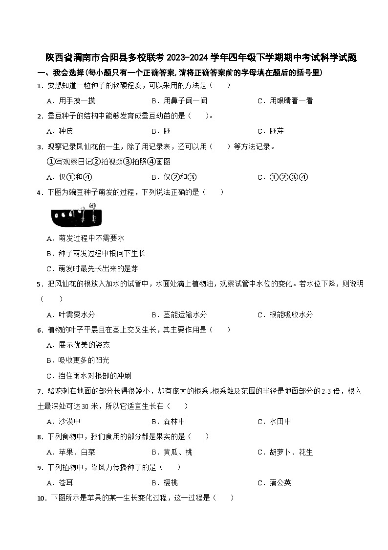 陕西省渭南市合阳县多校联考2023-2024学年四年级下学期期中考试科学试题01