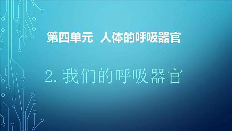 大象版小学科学四上第四单元 人体的呼吸器官2.我们的呼吸器官 课件01