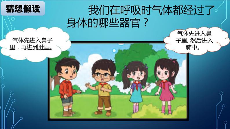 大象版小学科学四上第四单元 人体的呼吸器官2.我们的呼吸器官 课件03