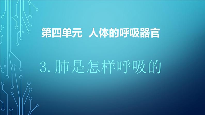 大象版小学科学四上第四单元 人体的呼吸器官3.肺是怎样呼吸的 课件01