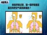 大象版小学科学四上第四单元 人体的呼吸器官3.肺是怎样呼吸的 课件