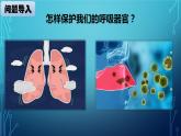 大象版小学科学四上第四单元 人体的呼吸器官5.保护呼吸器官 课件