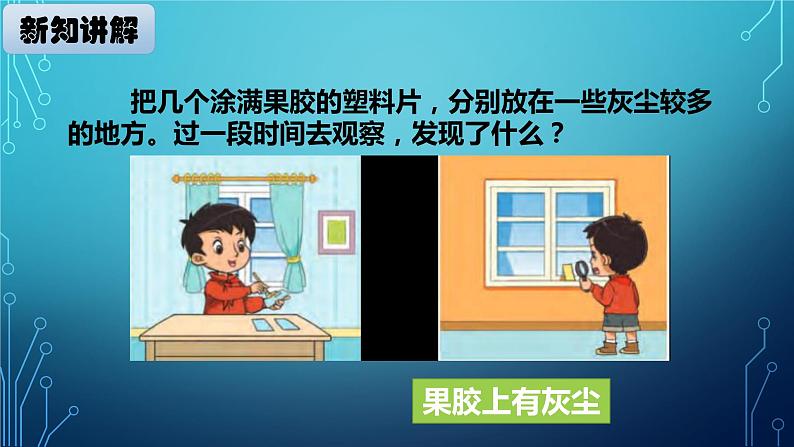 大象版小学科学四上第四单元 人体的呼吸器官5.保护呼吸器官 课件第4页