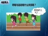 大象版小学科学四上第四单元 人体的呼吸器官4.呼吸与运动 课件