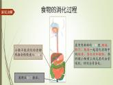 大象版小學(xué)科學(xué)四上第五單元 人體的消化器官1.一次神奇的旅行 課件