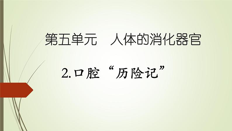 大象版小学科学四上第五单元 人体的消化器官2.口腔“历险记” 课件01