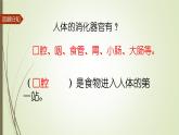 大象版小学科学四上第五单元 人体的消化器官2.口腔“历险记” 课件
