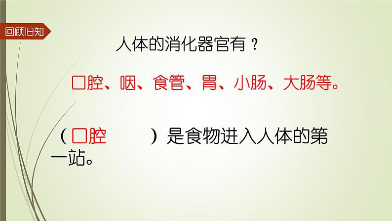 大象版小学科学四上第五单元 人体的消化器官2.口腔“历险记” 课件02