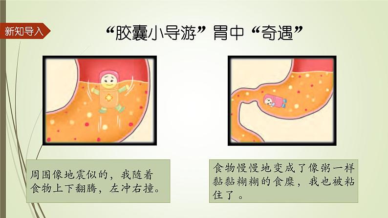 大象版小学科学四上第五单元 人体的消化器官3.胃中“奇遇记” 课件03