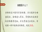 大象版小学科学四上第五单元 人体的消化器官3.胃中“奇遇记” 课件