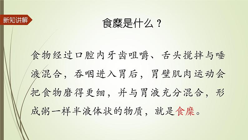 大象版小学科学四上第五单元 人体的消化器官3.胃中“奇遇记” 课件04