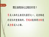 大象版小学科学四上第五单元 人体的消化器官4.蜿蜒的旅行 课件