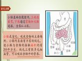大象版小学科学四上第五单元 人体的消化器官4.蜿蜒的旅行 课件