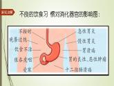 大象版小学科学四上第五单元 人体的消化器官5.保护消化器官 课件