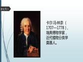 大象版小学科学四上 反思单元 伟大的命名者 课件