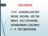 大象版小学科学四上 反思单元 伟大的命名者 课件